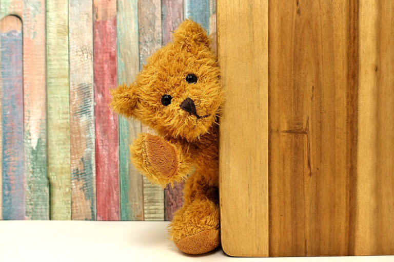 teddy