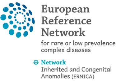 logo-ernica