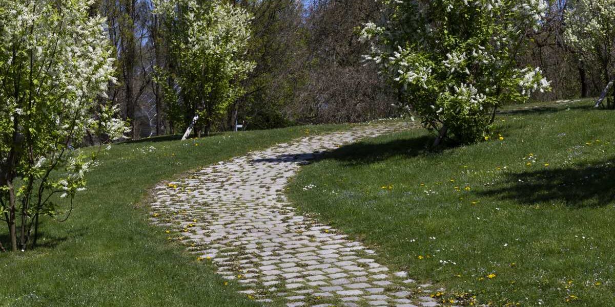 2025-weg-im-fruehling-standard-lowres-web-oliversold Weg