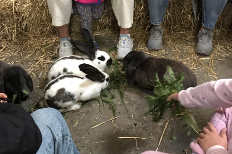 Regionaler Fachtag NRW