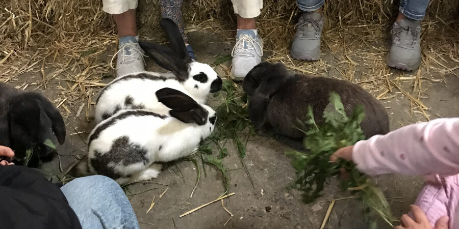 2025-rueckblick-rft-nrw-900×600-lowres-web Regionaler Fachtag NRW